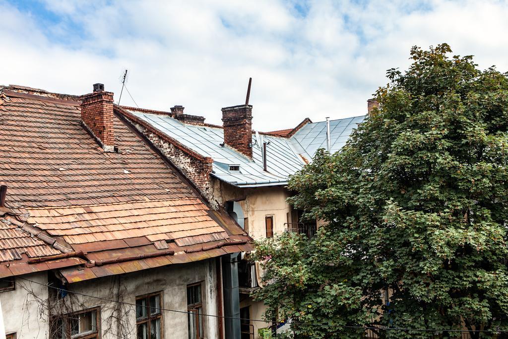 Park Plus Hostel Lviv Exteriör bild
